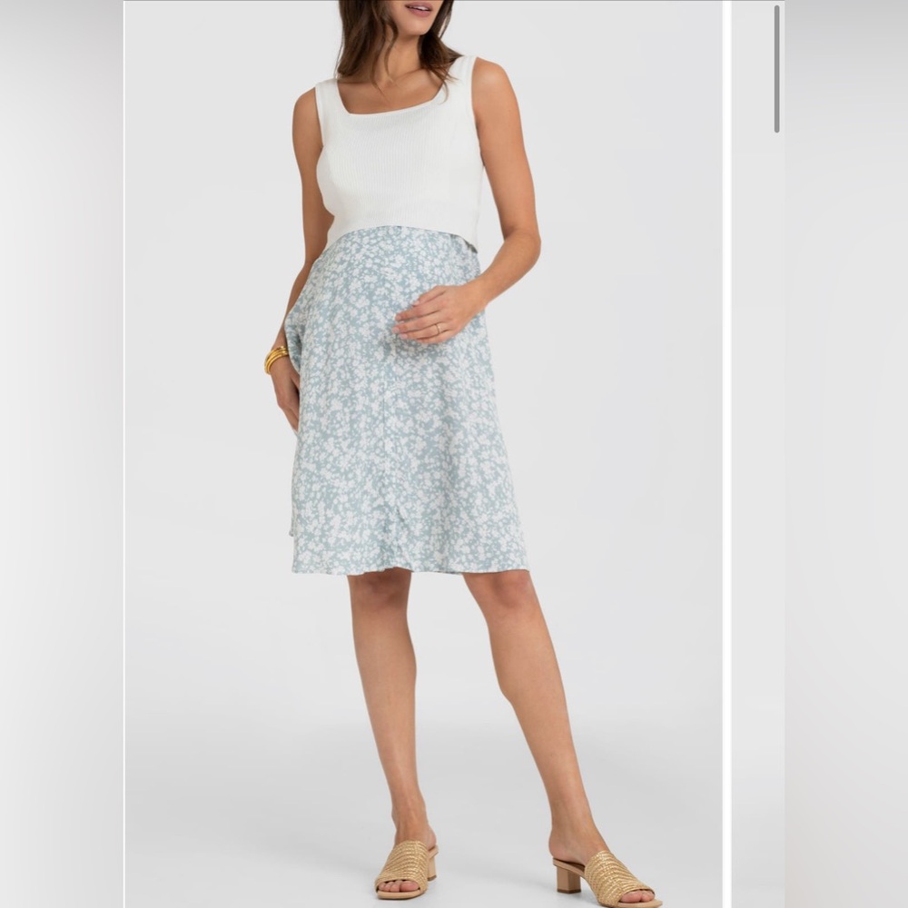 Seraphine Blue and White Maternity Dresss
